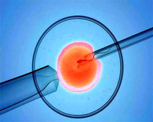 河南借卵子生孩子 河南产假新规定 ‘30b超单看男女’