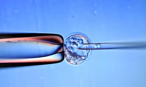 洛阳助孕价格,洛阳**男孩,洛阳**妈妈,洛阳老婆生孩子可以用老公的社保么