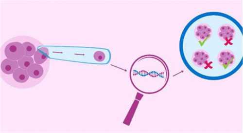 代怀网站哪家靠谱_代怀孕陆仁嘉_玉溪试管分一代二代三代的区别