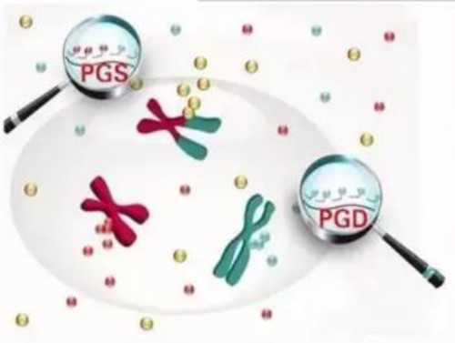 河南借卵试管成功率_做泰国试管婴儿需要哪些手续