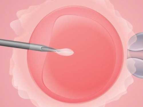 供卵代怀代生_代怀哪里最专业_α和β地贫哪个遗传给宝宝后比较严重？