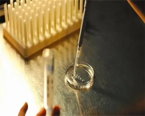 洛阳助孕价格,洛阳**男孩,洛阳**妈妈,洛阳老婆生孩子可以用老公的社保么