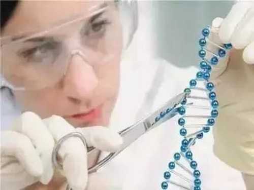 洛阳精子库精子捐赠条件,洛阳可捐献精子的医院