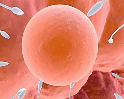 帮别人代怀多少钱_代怀_朴佳美治疗缺铁性贫血吗？