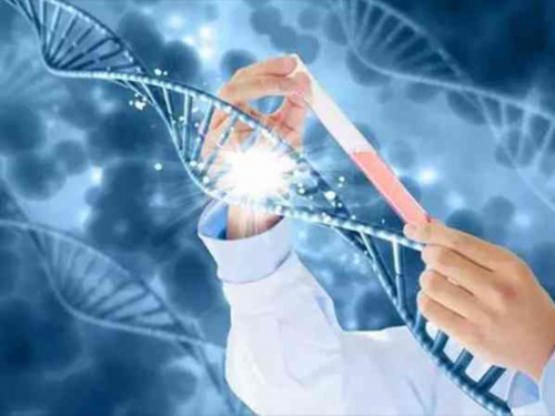 洛阳九院三代试管婴儿费用明细?,洛阳冻卵费用是多少？