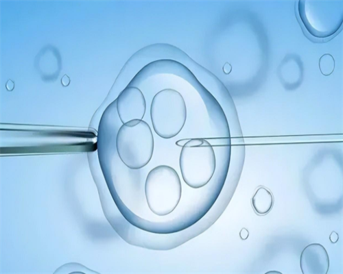 河南哪家代孕机构靠谱 河南试管成功率排名 ‘胎囊照片看男女准不准’