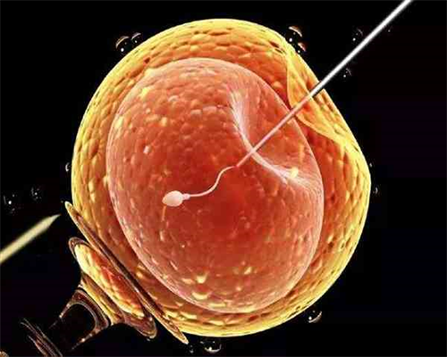 郑州代孕的医疗机构 郑州做人工授精需要多少钱需要等吗 ‘清宫图和孕囊看男