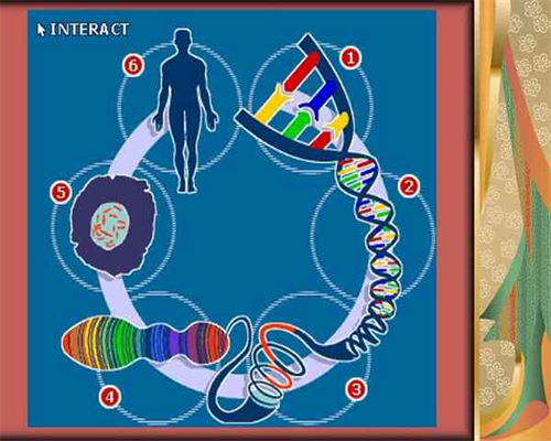 河南六院供卵试管_男人可以做试管婴儿吗？