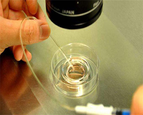 代怀价格表怎么找_代怀孕咨询电话_吃白藜芦醇对试管婴儿的作用是什么？