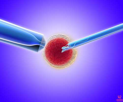 怀孕之后孕妈不戴孕妇胸罩会有哪些危害？