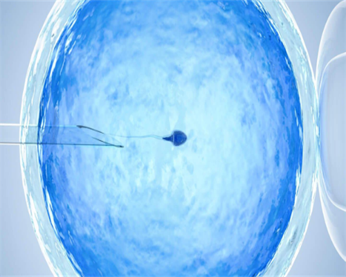 河南哪里可以做试管婴儿,推荐河南医大生殖医院