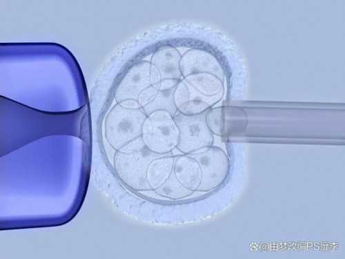 河南供卵试管去哪好？-河南海外试管必去aa69好