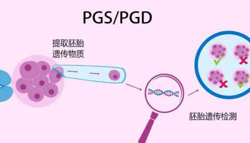 三甲助孕机构-男性吃爱乐维能不能壮阳？备孕男性用它竟有这功效