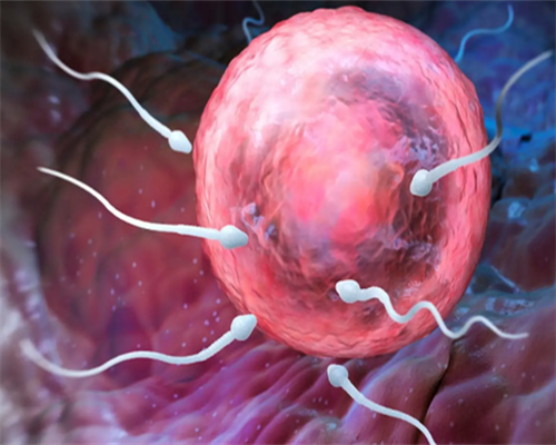 河南借卵子生子的过程_2026上海六院试管婴儿成功率一览，附试管成功经验分享