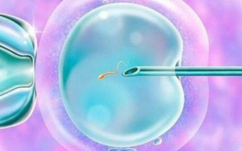 安徽试管代怀生子机构排名，附试管助孕中心一览？