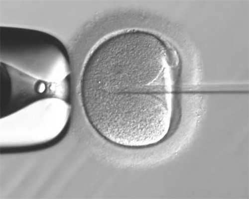 洛阳北大三代试管婴儿指南：流程、成功率、费用这里都有