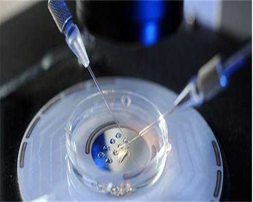 9月河南→重庆→河南站,【河南站】下半场实况分享