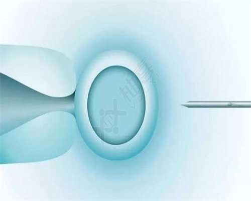 河南试管助孕公司有哪些公司,1河南省供卵助孕医院排名