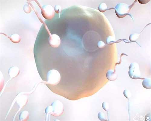 徐州天伦康复中心,徐州大学附属洛阳中心医院（洛阳市中心医院）体检中心