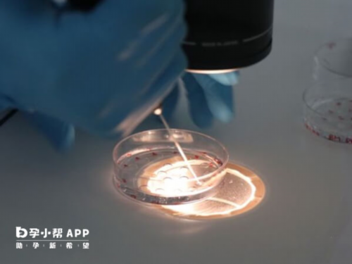 河南医院供卵的意义-河南医院供卵