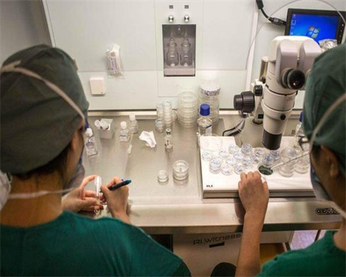 试管婴儿郑州和南阳（郑州试管婴儿三大医院）