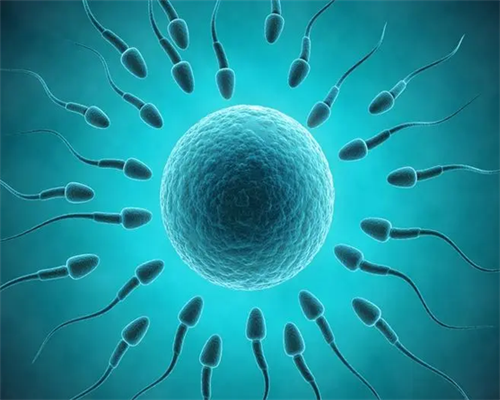 河南省河南市人民医院做试管婴儿可以选性别吗