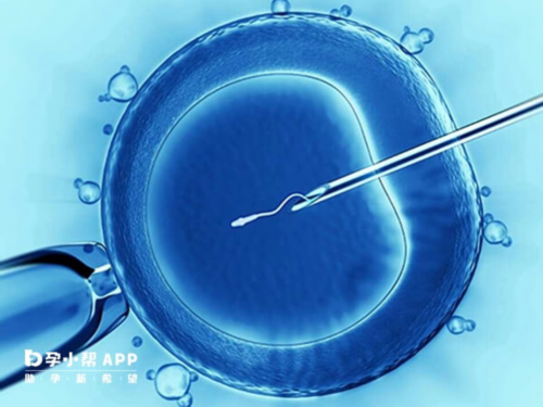 洛阳哪里可以冷冻卵子?,洛阳供卵试管群