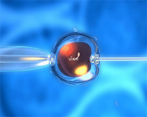 代怀双胞胎案例_代怀需要多少钱_生育政策放开趋势已成，贝康医疗-B(02170.HK)或