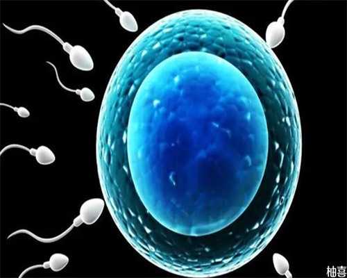 洛阳做供卵试管婴儿成功率高吗？,洛阳大学洛阳医院做试管婴儿建档要提前预