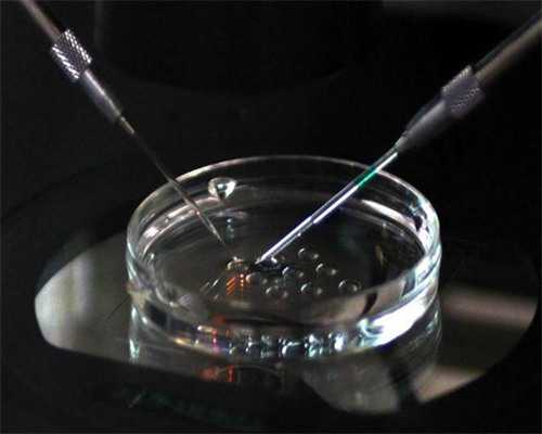 第三十三届梦美公益助孕【洛阳站】,中信湘雅遗传与生殖专科医院地址在哪里