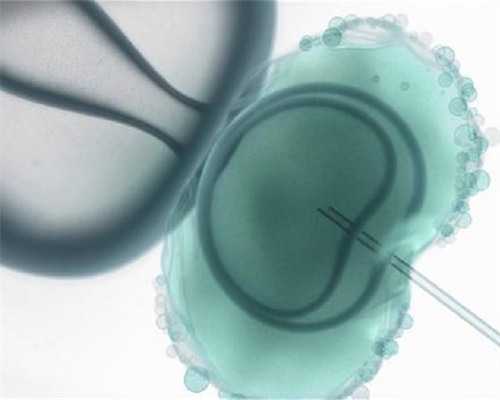 试管婴儿郑州(成功率高)郑州试管婴儿哪家好