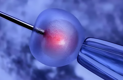 洛阳代孕妈妈成功率高吗|宜宾哪个医院在做试管婴儿做试管婴儿需要哪些条件