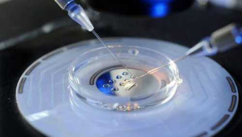 助孕公司中介-吸二手烟胎儿不动了细说吸二手烟的危害