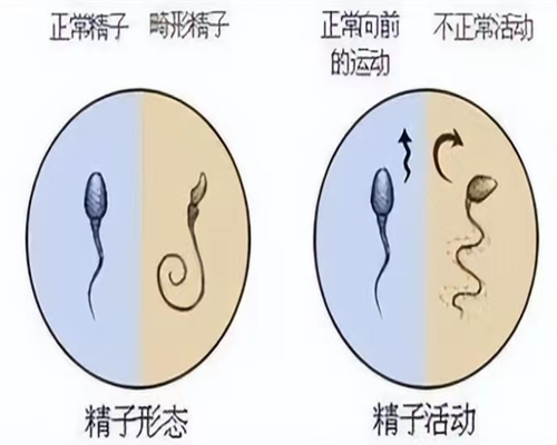 辽阳供卵代怀孕三代试管包儿子