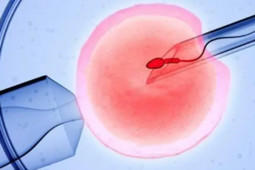 专业代怀费用_口碑最好代怀哪家_泰州试管婴儿费用(泰州试管婴儿价格)