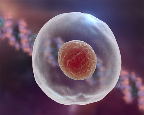 代怀机构合法吗_代怀网成功率_国家卫健委科研所哪个医生人工助孕成功率高？