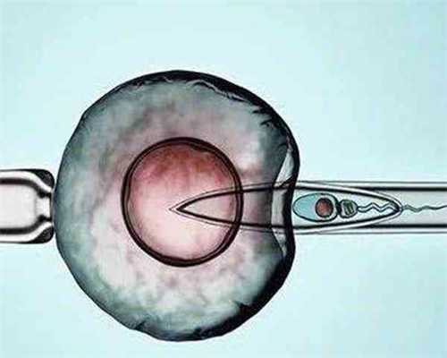 郑州供卵三代试管(郑州三代试管供卵包成功)