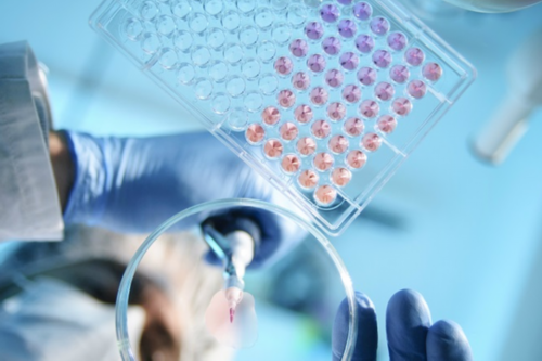 郑州做试管婴儿多少钱啊