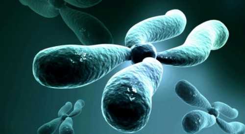 代怀生小孩哪家好_代怀产子机构_56M96_安医大一附院做第三代试管能移植两个生