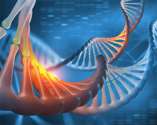 河南中医一附院试管婴儿费用明细,河南省热门试管城市