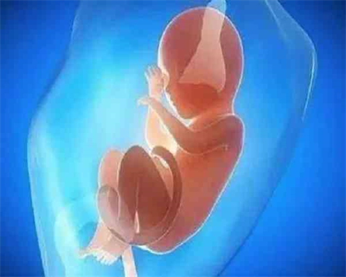 九江供卵代怀孕三代试管包儿子