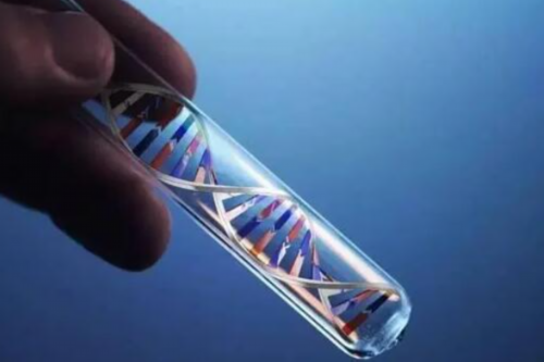 郑州做试管婴儿的详细流程有哪些？