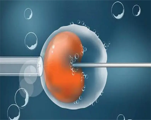 洛阳去做代孕费用明细|长沙中信湘雅做供精试管婴儿有什么要求？费用要多少