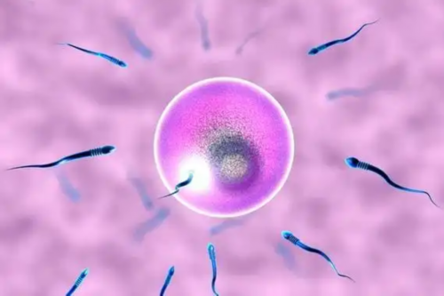 义乌市可以做试管生龙凤胎吗？附河南十强试管医院名单