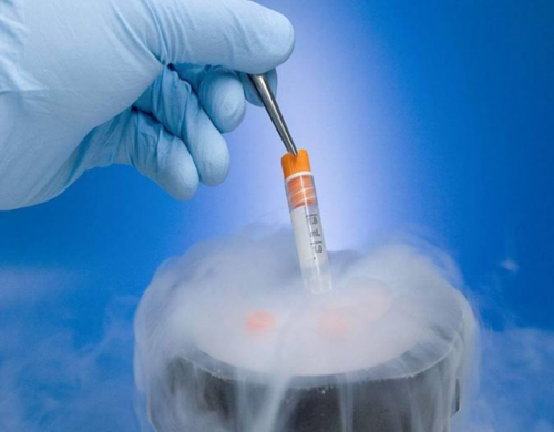 河南九院试管哪个医生好点??,河南那家医院做试管好呢?