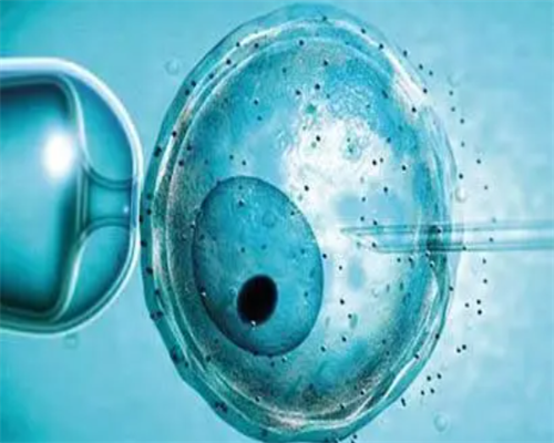 郑州借卵需要哪些条件 郑州第三代试管价格 ‘32周双顶径看男女’