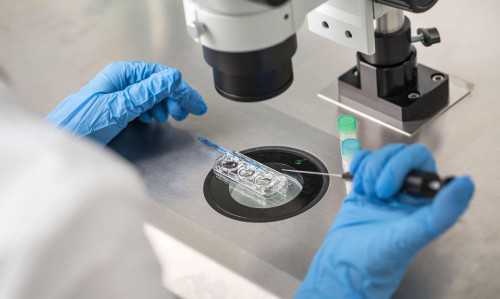 河南中医学院第一附属医院试管婴儿降调有哪些问题？