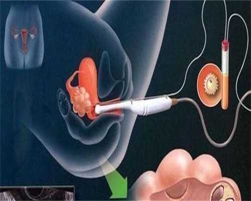 9月河南→重庆→河南站,【河南站】下半场实况分享