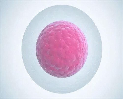 洛阳试管有用吗,洛阳协和医院试管婴儿成功率高吗