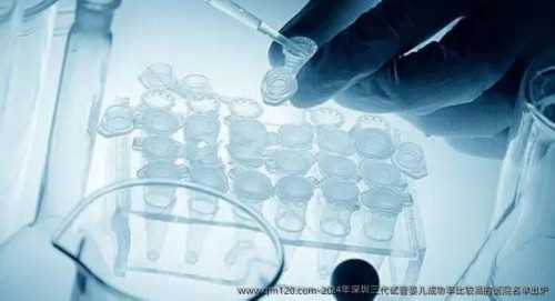 9月河南→重庆→河南站,【河南站】下半场实况分享